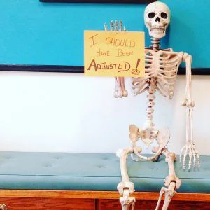 Chiropractic Austin TX Silly Skeleton